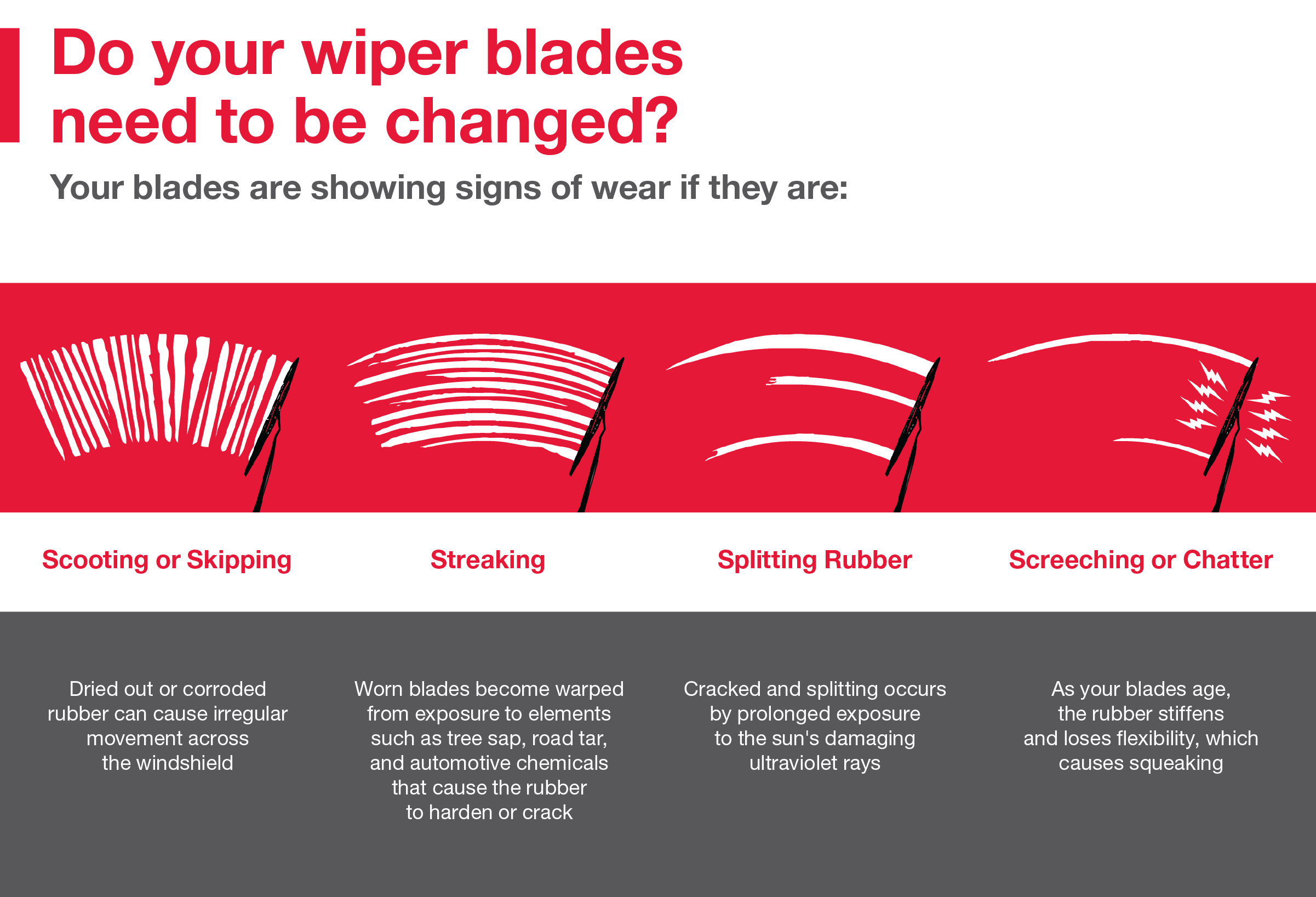 Do your wiper blades need to be changed | Lakeland Toyota in Lakeland FL